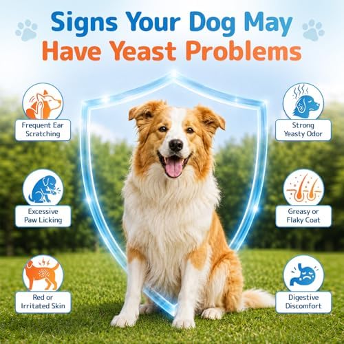 Yeast Infection Treatment for Dogs, Carmelie Ear Paw Itch Discomfort Care