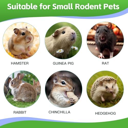 WDEFUN 21PCS Rabbit Chew Toys for Teeth Grinding, Natural Timothy Hay Cakes Treats for Bunny, Organic Apple Wood Sticks Toy Set for Guinea Pigs, Hamsters, Chinchillas,Dental Health & Boredom Relief