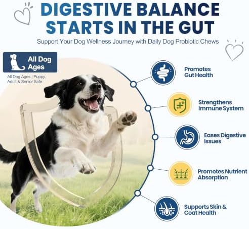Probiotics for Dogs, Dog Probiotics Chews for Digestive Health &Gut Health