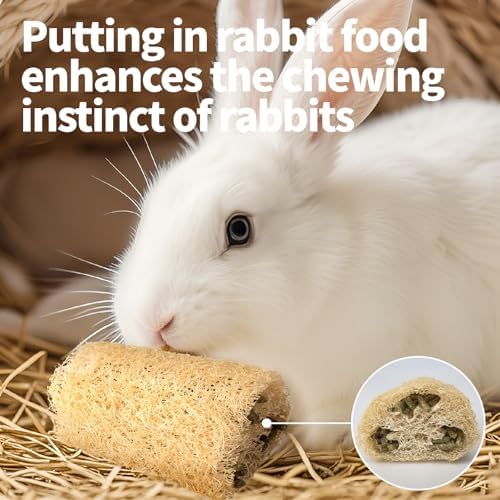 BESNEW Rabbit Chew Toys,100% Natural Loofah Without Additives,Bunny Chew Toys for Teeth,Fiber-Rich Rabbit Treats for Bunny Chinchilla Dogs