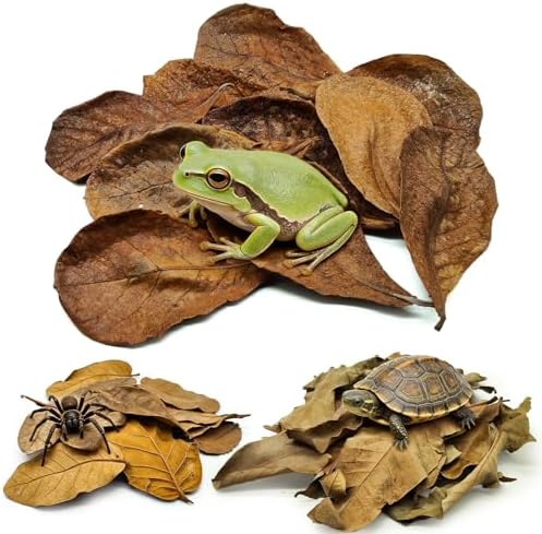 Dry Oak Leaf Litter for Reptiles,20Pcs Oak,30Pcs Longan & 10PCS Indian Almond Leaves,Leaf Litter Isopods Live Substrate Terrarium Bedding for Turtle,Snakes,Frogs,Isopod,Spider, Cricket