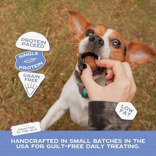 Smart Cookie Healthy Soft Dog Treats - Trout & Apple - Grain Free Limited Ingredient Training Treats for Dogs with Sensitive Stomach & Allergies, Natural Novel Protein, Made in the USA (5oz.)