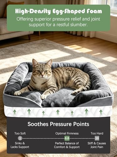 Spotted Play Orthopedic Dog Bed with Sides - Dog Sofa Beds for Small Dogs, Supportive Foam Pet Couch Bed with Washable Removable Cover, Waterproof Lining and Non-Slip Bottom, Grey - S