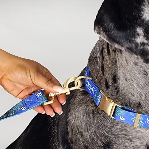 Snoop Doggie Doggs Deluxe Pet Leash, Halftime, 60" x 3Q Inch