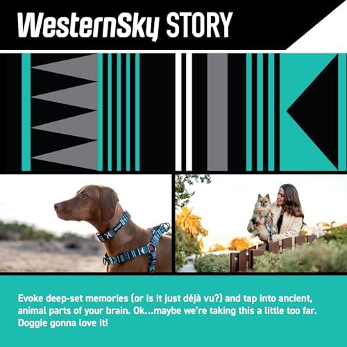 Wolfgang Martingale Collar Westernsky L