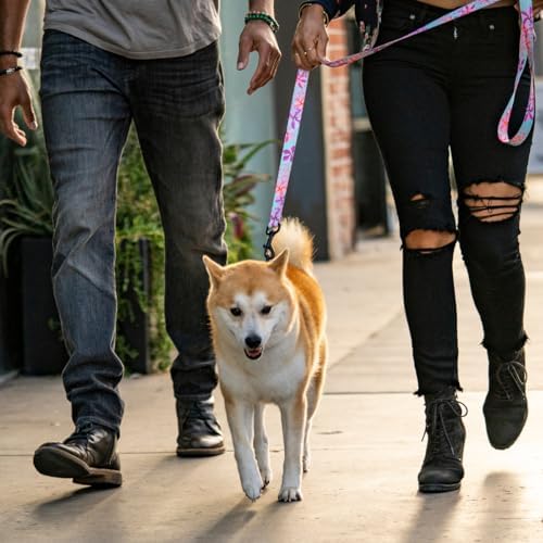 Wolfgang Heavy Duty Dog Leash, Pull-Tested to Over 800 lbs for Walking & Training, DigiFloral Print, Dual-Handle Large