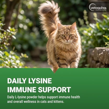 Vetoquinol Viralys - Lysine Supplement for Cats & Kittens - Supports Eye Wellness, Respiratory Health & Immune Strength - Flavored Oral Powder for Easy Feeding & Daily Use - 600 Grams
