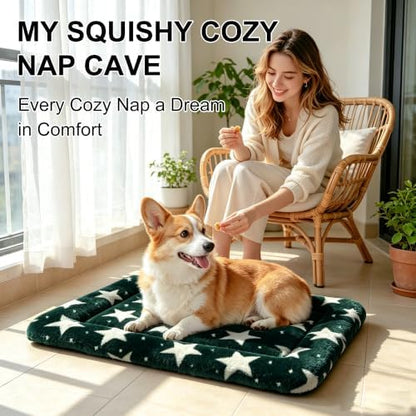 Dog Bed Mat, Reversible Dog Crate Pad with Washable Kennel Mat and Soft Foam, Pet Bed for Dogs & Cats, for Crates Carriers & Travel (Big&Small Stars Green, 24" L*18" W*1.5" Th)