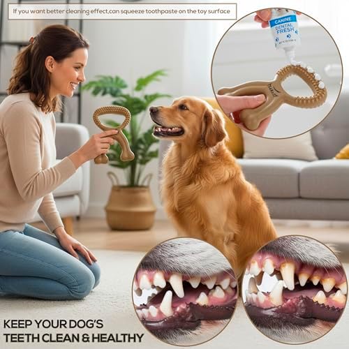 Chew Buddy Natural Rubber Dog Chew Toy for Medium & Large Dog