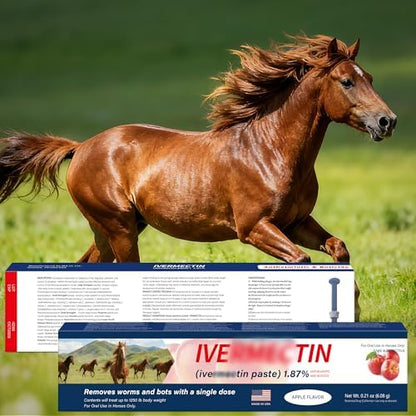 Equine Paste 1.87% – 6 Pack (6.08g) Apple Flavored Oral for Horses