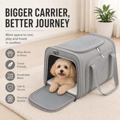 Large Pet Carrier for Cats and Small Dogs, Soft-Sided Travel Carrier with Safety Leash, Scratch-Resistant Mesh, Reinforced PVC Support Base, Foldable Design, 20 x 13 x 13 Inches