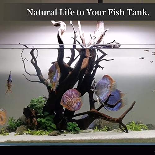 majoywoo Natural Large Driftwood for Aquarium Decor Reptile Decor