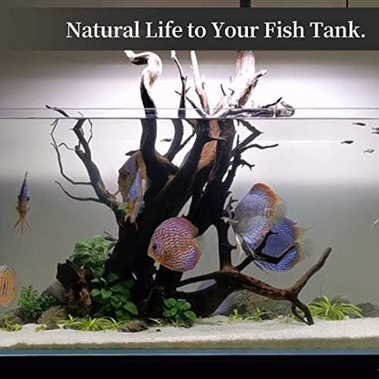 majoywoo Natural Large Driftwood for Aquarium Decor Reptile Decor