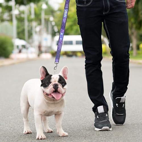 Pets First NASA Dog Leashes and Collars