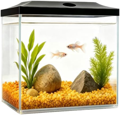 0.8-Gallon Cube Small Fish Tank, Shatterproof Plastic Fish Tank with LED Lighting, Temporary Fish Bowl for Fry, Isolation, Education & Decoration