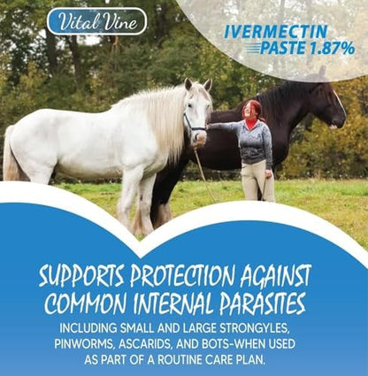 VITALVINE Ivermectin 1.87% Paste for Horses – Apple Flavor 6.08g Syringe, Treats Horses Up to 1250 lbs (1-Pack)