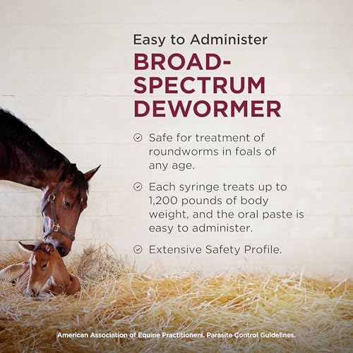 Strongid (pyrantel pamoate) Paste Dewormer for Horses, 20 mL Syringe