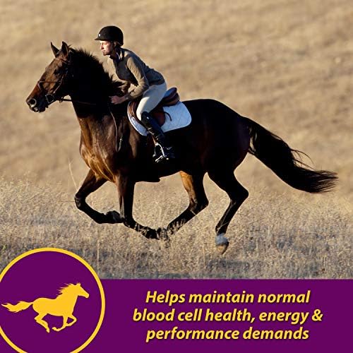 Horse Health Red Cell, Liquid Iron-Mineral Supplement 1 Qt, 16-Day Supply