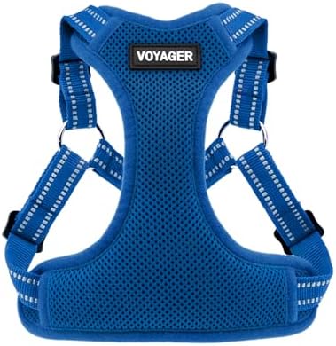 Voyager Step-in Flex Adjustable Dog Harness - Royal Blue, X-Small