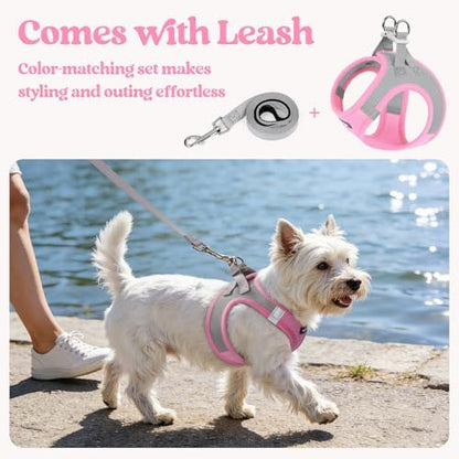 rabbitgoo Dog Harness Small Sized and Leash Set, Step-in Puppy Pet Vest