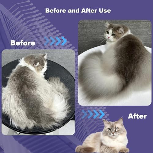 Cat brush, Cat Brush for Long or Short Haired Cats