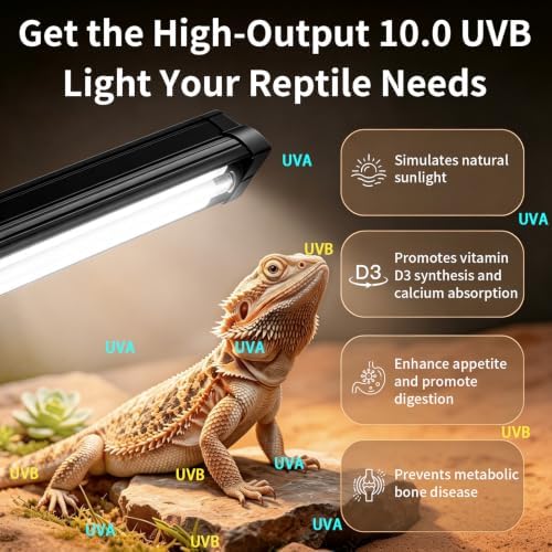 T5 10.0 UVB Reptile Light Fixture Combo Kit with Upgraded Timer Controller, 5 Timing 6H/8H/10H/12H/24H Auto Cycle, 8W High Output UVA UVB Light for Desert Bearded Dragon, Lizard, Turtle (12.5Inch)