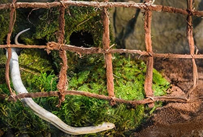 Galápagos (05213) Terrarium Green Sphagnum Moss, Natural, 4 Quart