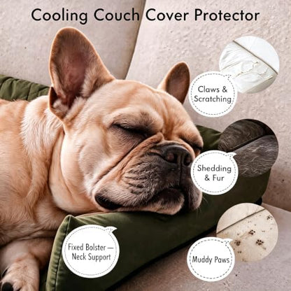 Calming Dog Couch Bed with Head Support, Waterproof Sofa Cover, Green, S