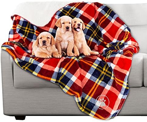 Waterproof Pet Blanket - 50x60 Reversible Plaid Throw Protects Couch, Car, Bed from Spills, Stains, or Fur - Dog and Cat Blankets by Petmaker (Red)