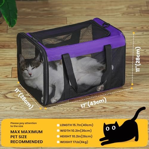 Conlun Cat Carrier Bag,Soft-Sided Pet Carriers for Dogs with 4-Sided Mesh,Airline Approved Cat Transport Carrier for Small&Medium Cats Kitten Puppy Up to 15LB,Collapsible Cat Travel Carrier-M,Purple