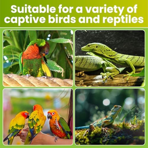 GlowUp 2.4% UVB Bulb for Birds, 20W Compact Fluorescent Light Bulb UVA UVB Light Bulbs E26 for Captive Birds and Reptiles