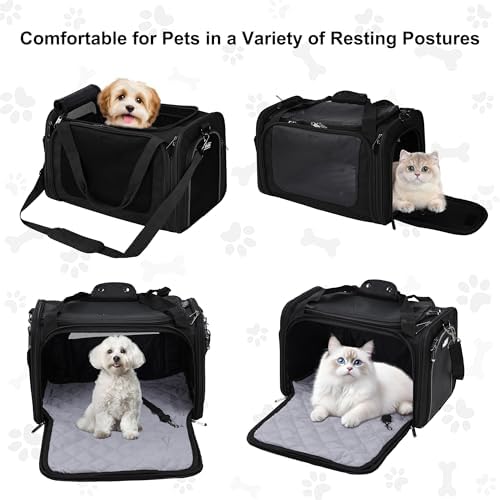 EliteField Deluxe Soft Pet Carrier for Cats and Dogs (3-Year Warranty)