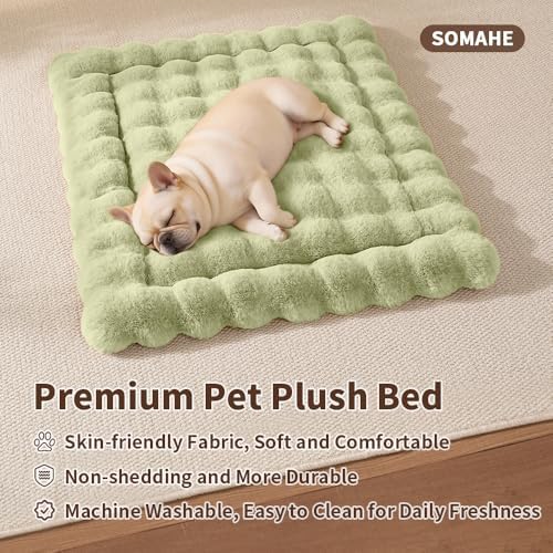 SOMAHE Plush Pet Bed Mat, Machine Washable, Medium 27x20 Fruit Green