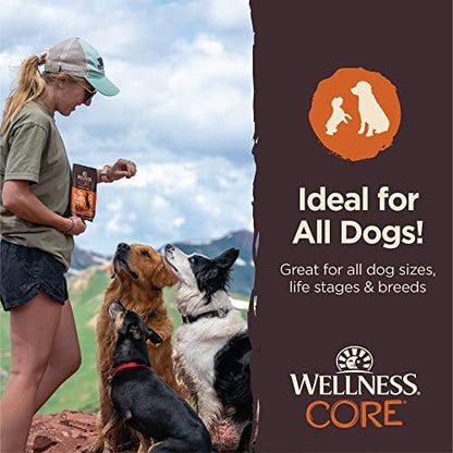 Wellness CORE Tiny Trainers Dog Treats,Natural,Training Treat,Grain Free,Turkey & Pomegranate (6 Ounce Bag),(Pack of 2)