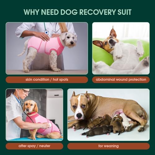 Kuoser Dog Recovery Suit, Female Male Spay Neuter Surgery Suit, Pink, M