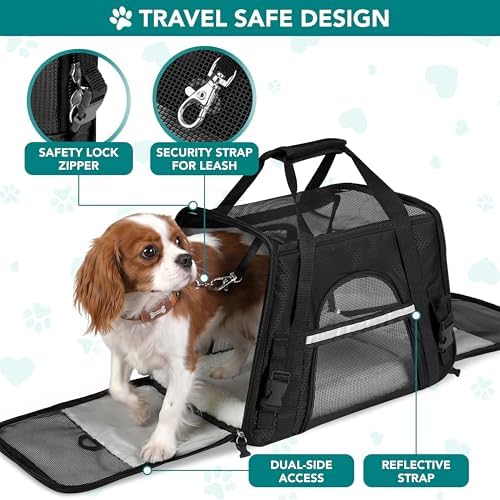 PetAmi Airline Approved Pet Carrier for Cats & Small Dogs, Small, Black