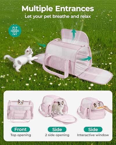 BAGSMART Cat Carrier Soft-Sided Puffy Quilted Collapsible Pet Travel Bag