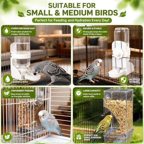 Rypet No-Mess Bird Feeder and Water Dispenser Set for Small Birds