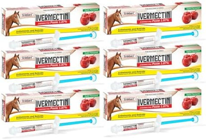 Horse Ivermectin Paste 1.87% – Apple Flavored Oral Horse Dewormer Syringe – 6.08g Tube Treats Horses Up to 1250 LB [Pack-6]