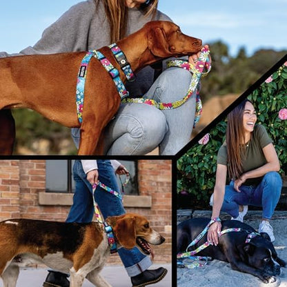Wolfgang Martingale Collar Lazydaisy M