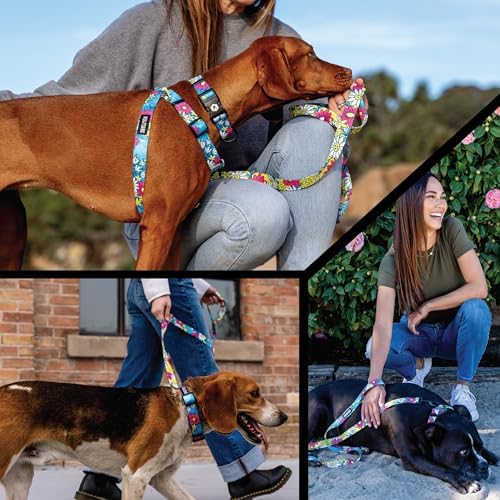 Wolfgang Martingale Collar Lazydaisy S