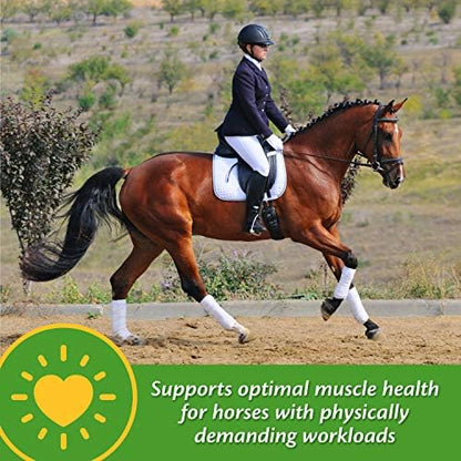 Farnam Vita-Min E & Selenium Antioxidant Supplement for Horses, Horse Vitamin E Supplement, Muscle Health and Peak Condition, 3 lb, 96 Day Supply