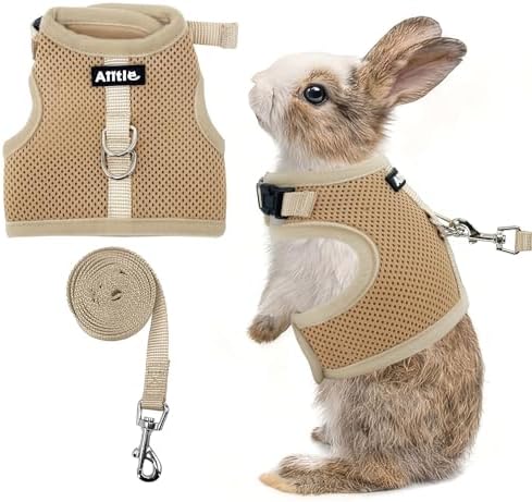 AIITLE Breathable Escape Proof Rabbit Harness and Leash Set, Beige L