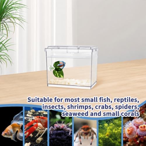 MoonOrange Mini Betta Fish Tank, Small Fish Bowl for Temporary Space, 0.2 Gallon Stackable Cube Tank with Betta Leaf and Gravels for Small Fish, Insect, Shrimp, Crab, Spider.(Pack-1)