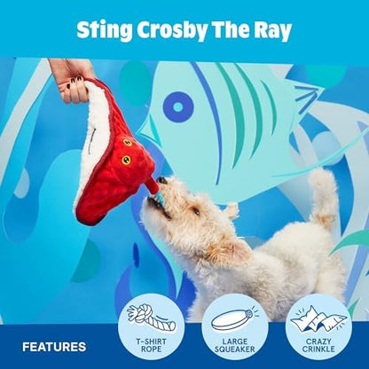 BarkBox Sting Crosby the Ray Dog Toy - Large - for Dogs