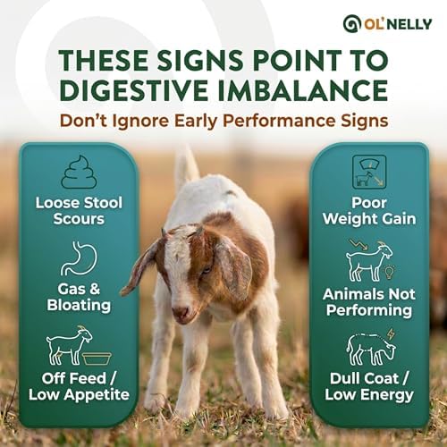 Ruminant Probiotic Paste for Cattle & Goats | Prebiotic + Probiotic | 6 Strains, 12B CFU | Digestive, Rumen & Immune Support - Pack of 2-80G Each