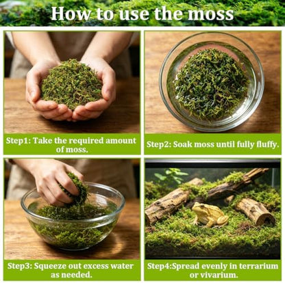 Riare 1.3LB Sphagnum Moss for Reptiles- 50QT Natural Reptile Moss Bedding
