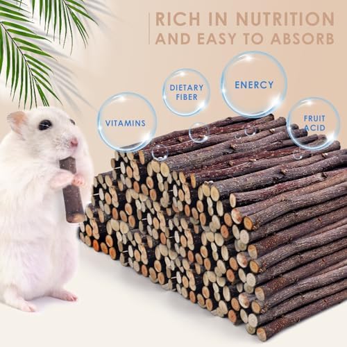Bissap 940g/2lb Natural Apple Wood Sticks, Molar Chew Toys for Small Pet