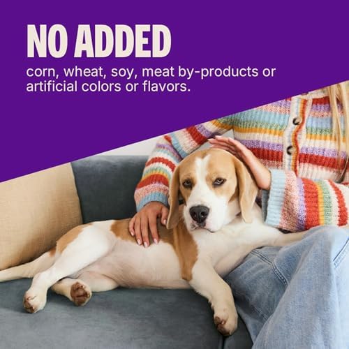 Wellness Soft Puppy Bites Dog Training Treats, Natural, Grain Free, Lamb and Salmon Recipe, 3 oz Bag (Pack of 2)