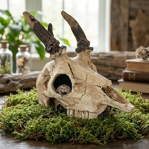 Mini Deer Skull Reptile Hide, Resin Tank Decor for Geckos, Snakes & Spiders